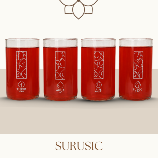 Set de 4 vasos Colección 4 Elementos